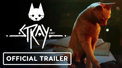 strays (2023) torrent|Stray: Release date, UK launch time and pre.